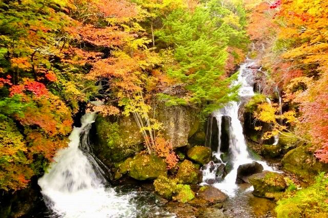 Nikko: My Favorite Autumn Escape Near Tokyo<br> <span style="font-weight:400;font-size:15px;"><i>Justine Annan</i></span>