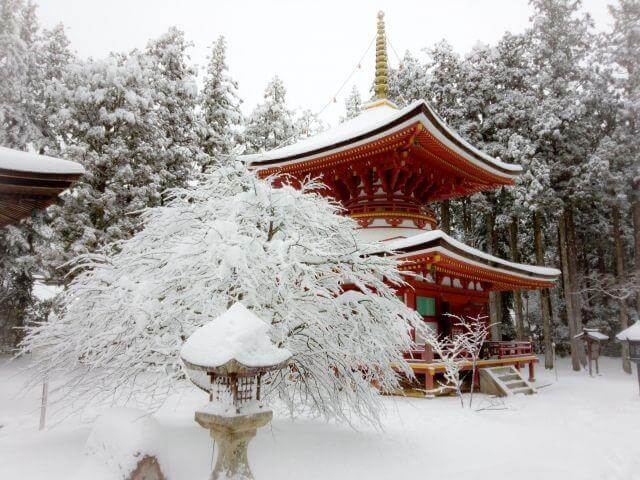 Nagano & Hokkaido – Alpine Adventures & Skiing Powder Snow