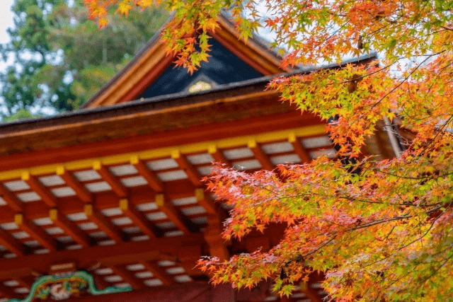 Hokkaido – Nature, Seasons, and Wide Horizons